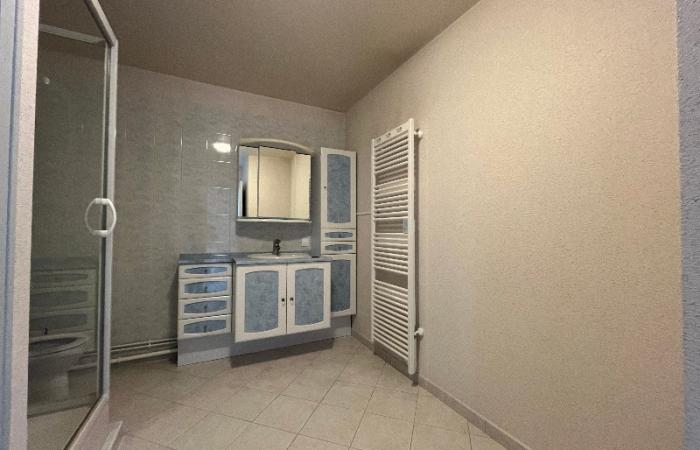 APPARTEMENT VUE SEINE